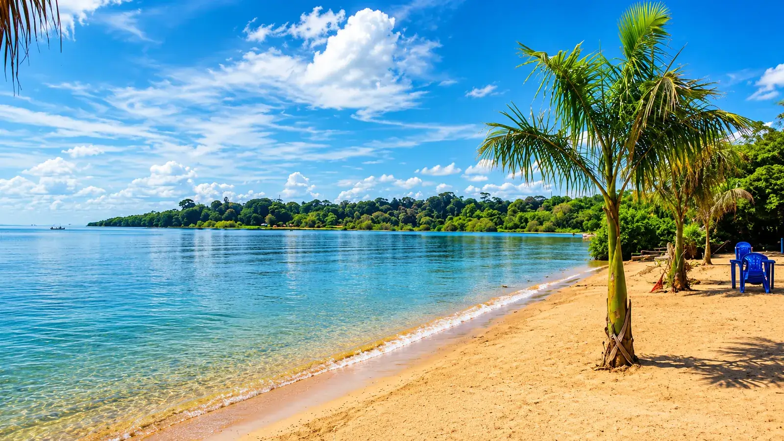 Entebbe City & Beach