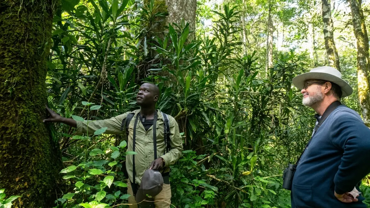 Guide explaining rainforest ecology to a visitor in Kakamega Forest