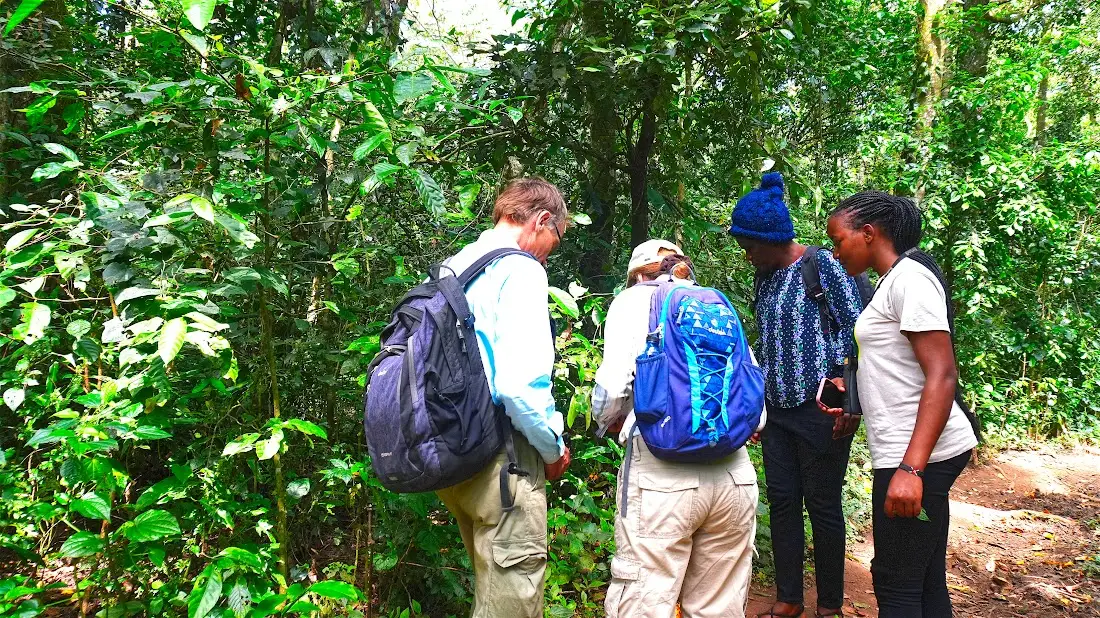 Hikers gathered with their guide in Kakamega Forest