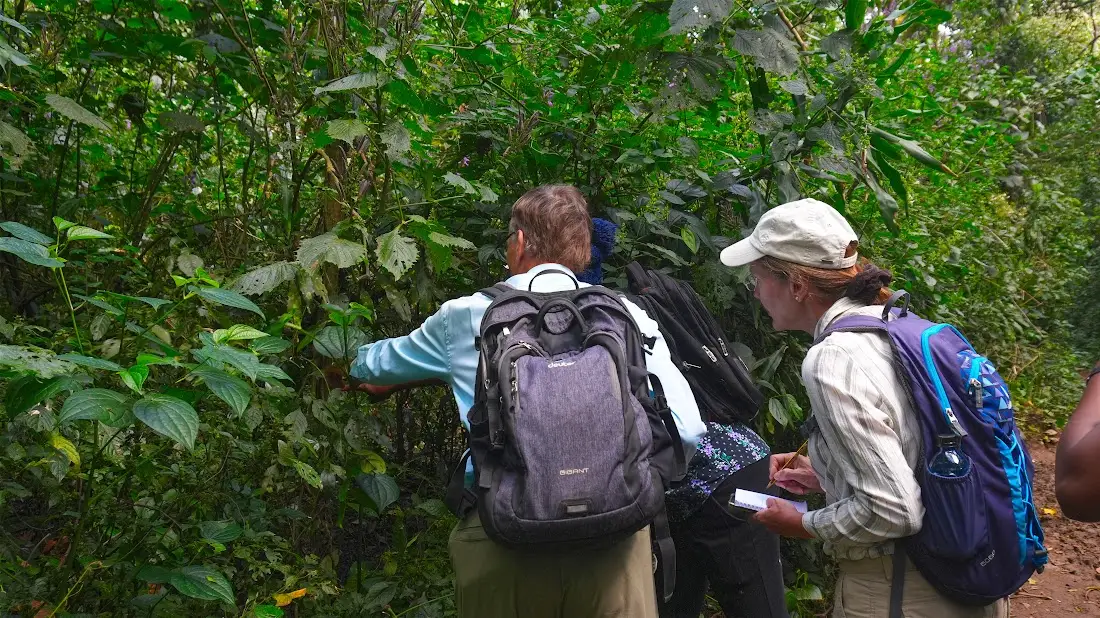 Hikers studying forest plants and field notes in Kakamega Forest