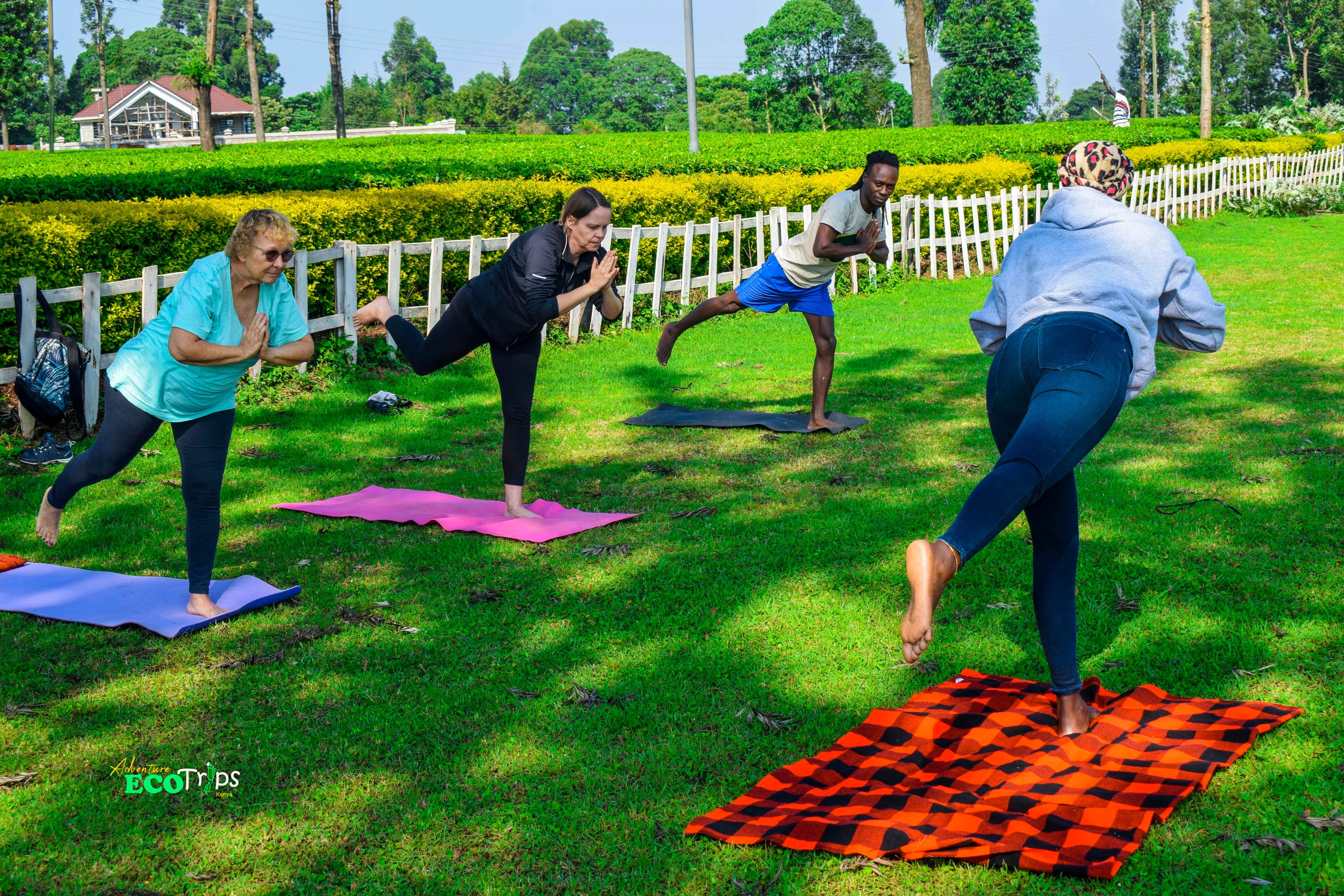 Yoga & Tea Walk, Kericho: yoga retreat in Kericho tea fields, Kericho County, Kenya